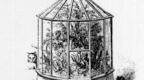 Wardian Cases Made Gardening Obsessions Possible | Archive ...