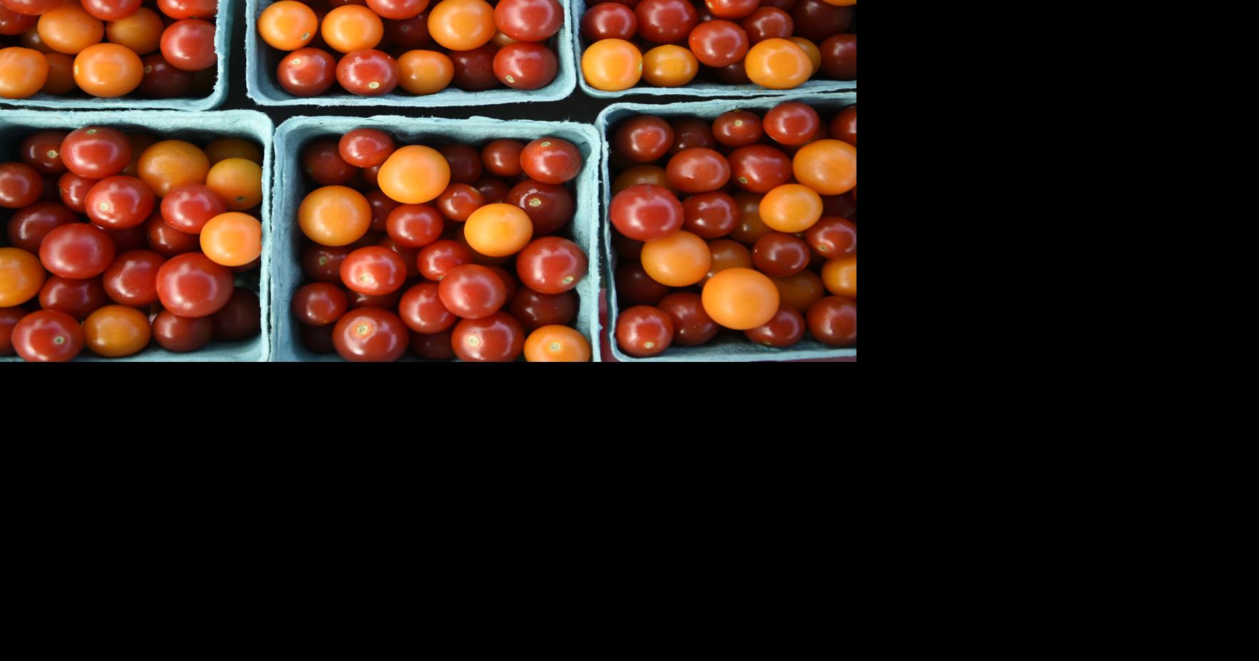 Third annual tomato festival honors Botetourt County roots