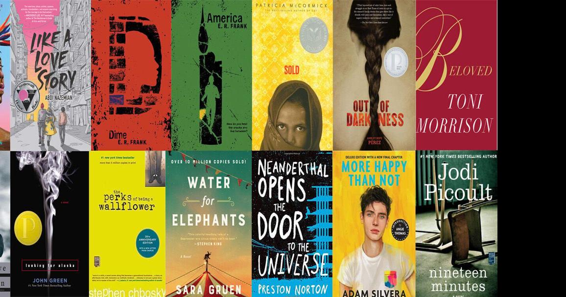 Spotsylvania School Board puts brakes on school library book policy decision