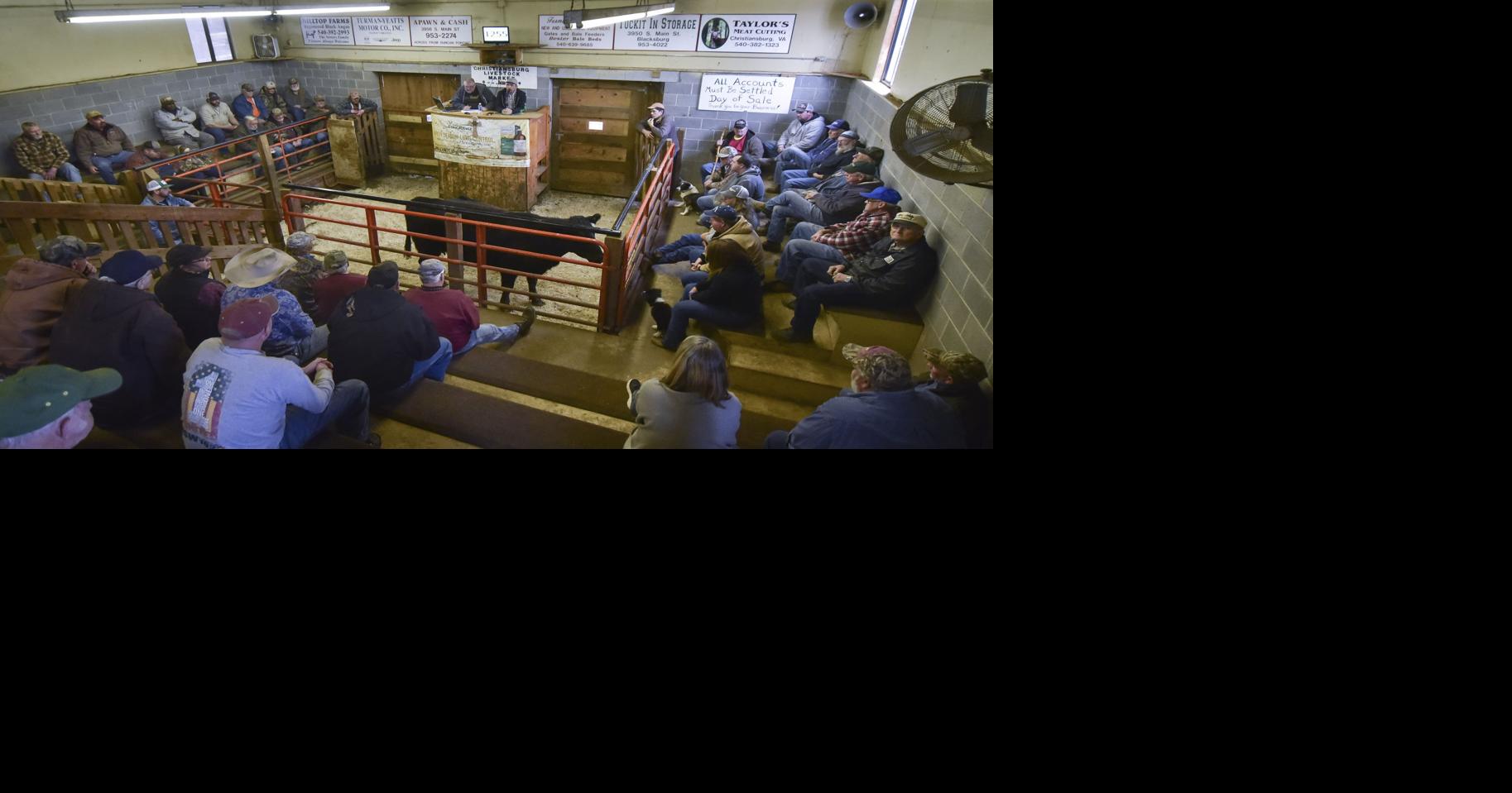 Christiansburg Livestock Market reopens after brief closure