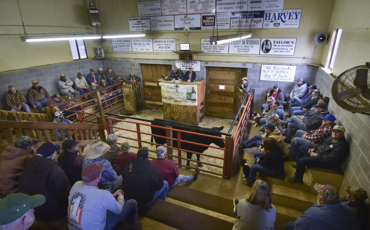 Christiansburg Livestock Market reopens after brief closure