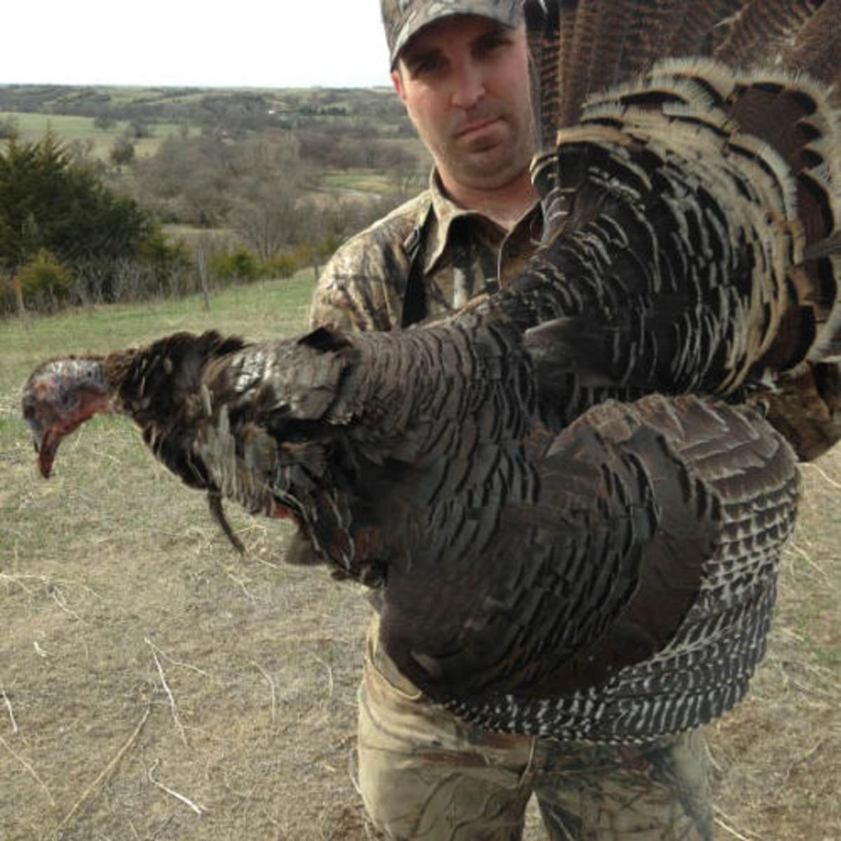 Fascination With Bearded Hens Leads To A Turkey Hunting Grand Slam Or Does It Sports Roanoke Com Fascination With Bearded Hens Leads To A Turkey Hunting Grand Slam Or Does It Sports Roanoke Com