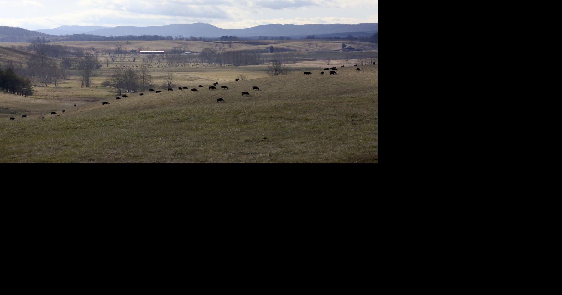 Hecate Energy requests update to permit for Pulaski County solar farm