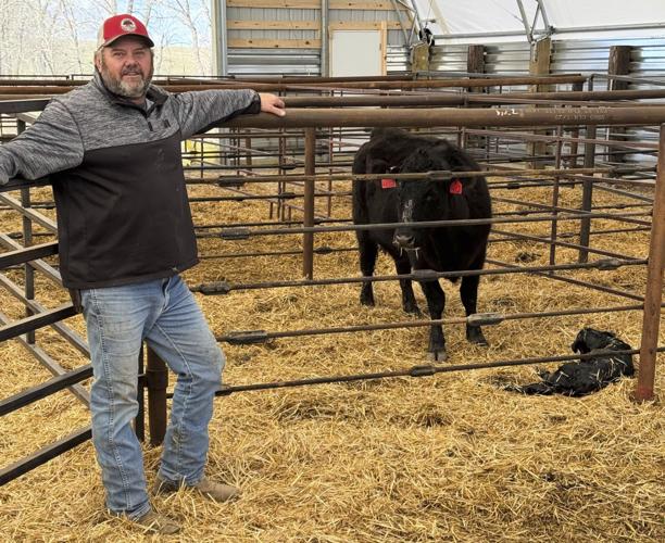 Trump Tariffs Beef
