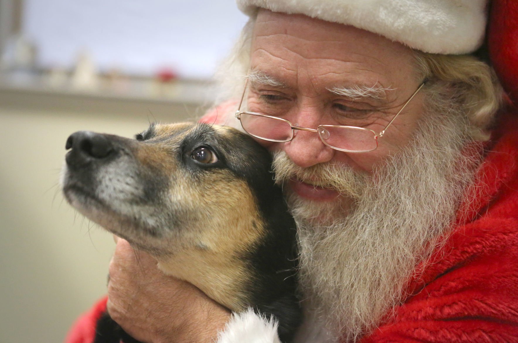 montgomery adoption center