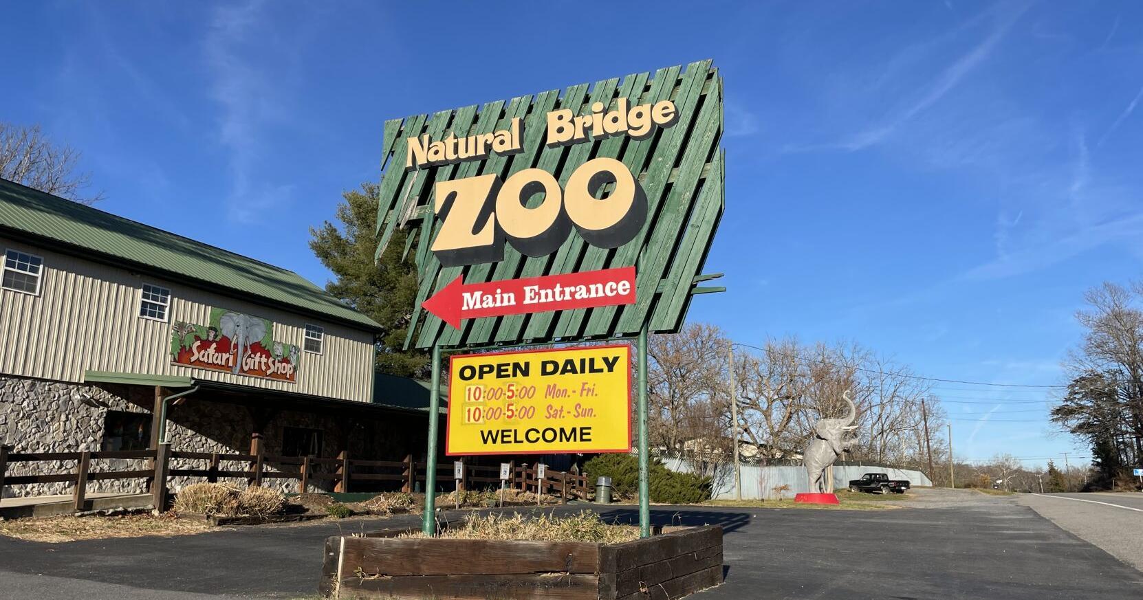 Natural Bridge Zoo jury trial testimony reveals new details about seized animals - Vimarsana News