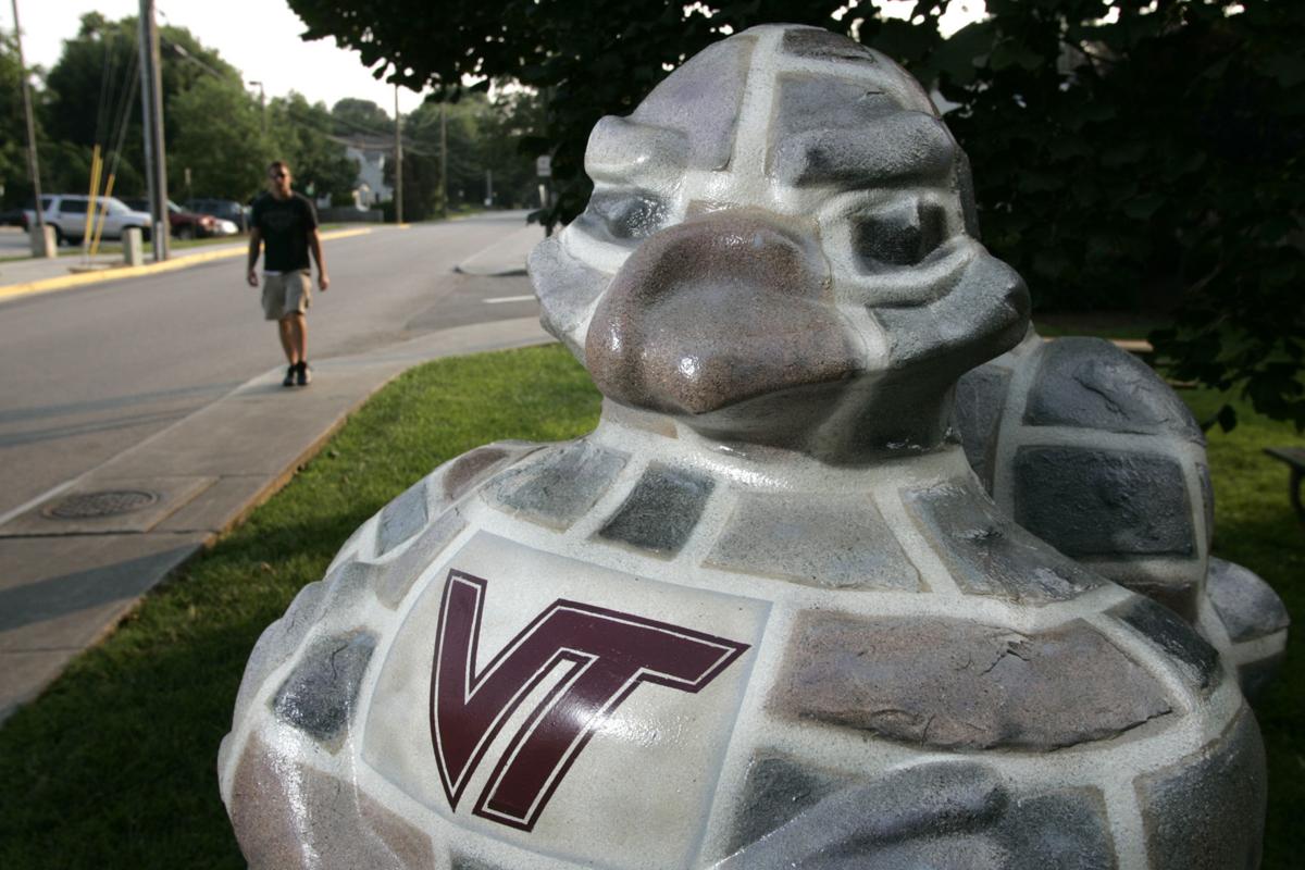 Photos Blacksburg's flock of Hokie Birds