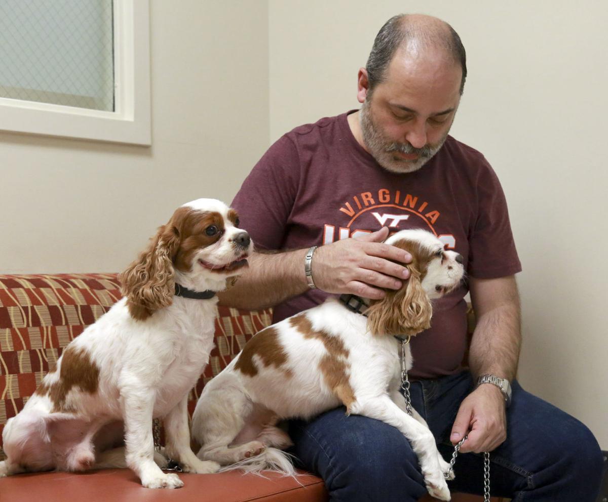 Hokies Heart Cavaliers Virginia Tech Vets Seek The Spaniels