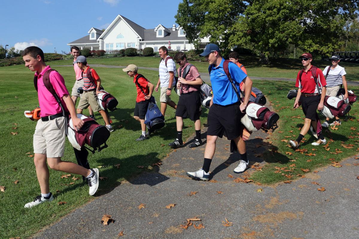 Pulaski golf course survives foreclosure auction, stays open to players (copy) Local News