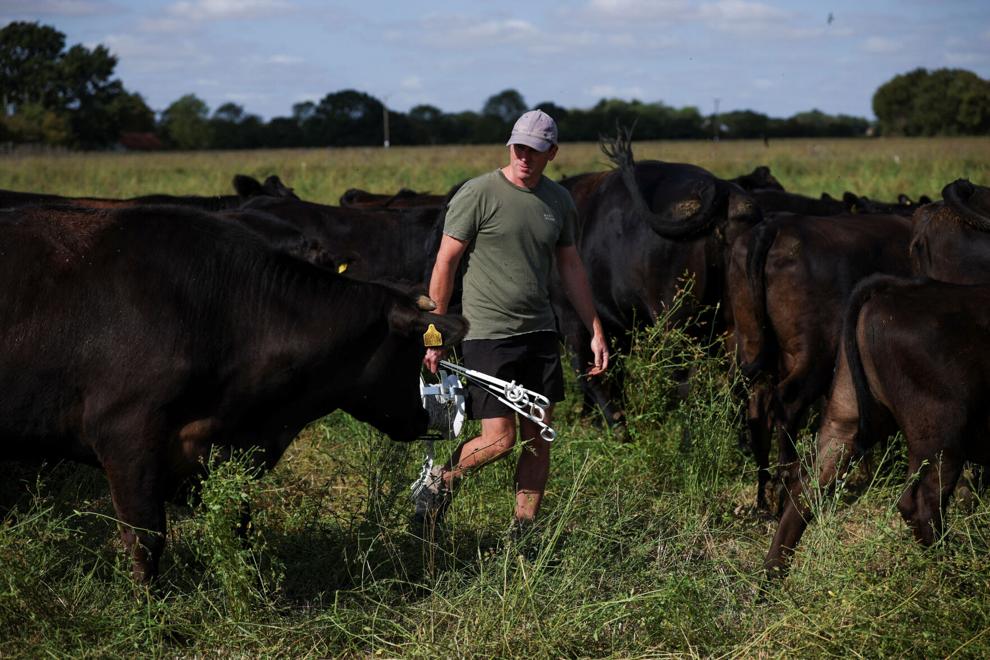 As Europe bakes, momentum grows for climate-resilient farming As Europe bakes, momentum grows for climate-resilient farming