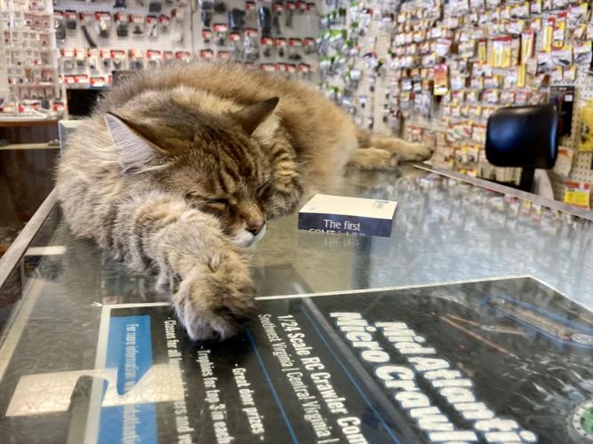 Business Intel Salem Hobby Shop