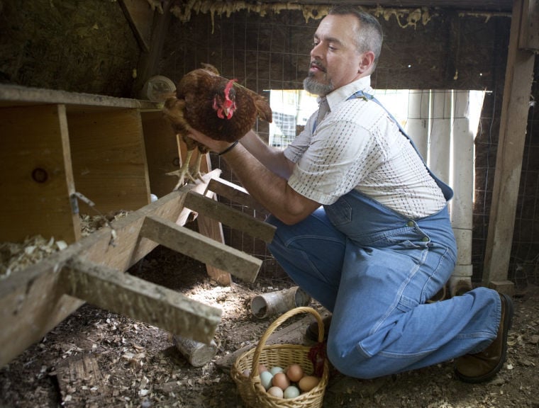 Cock-a-doodle Cool: Folks flock to chicken-keeping in S.W. Virginia ...