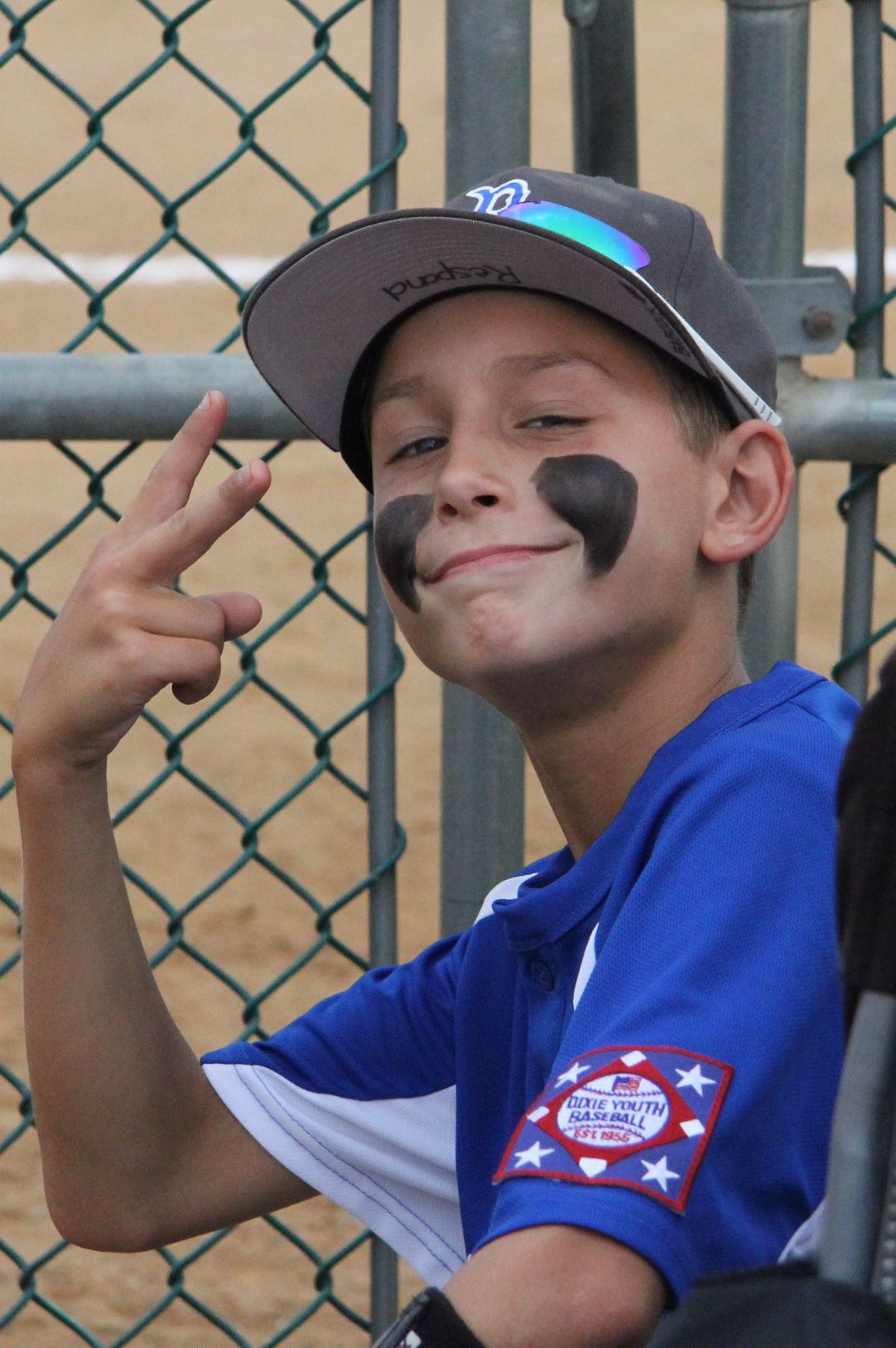 Dixie Youth Baseball New River Valley