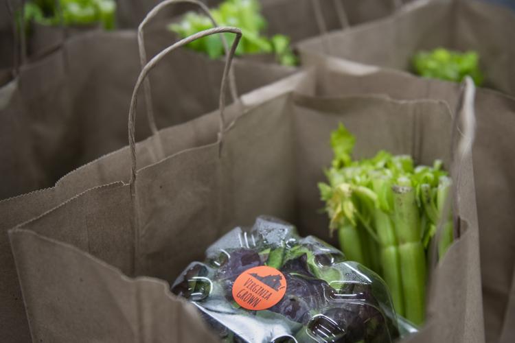 Grow Fooding in Grocery Bags
