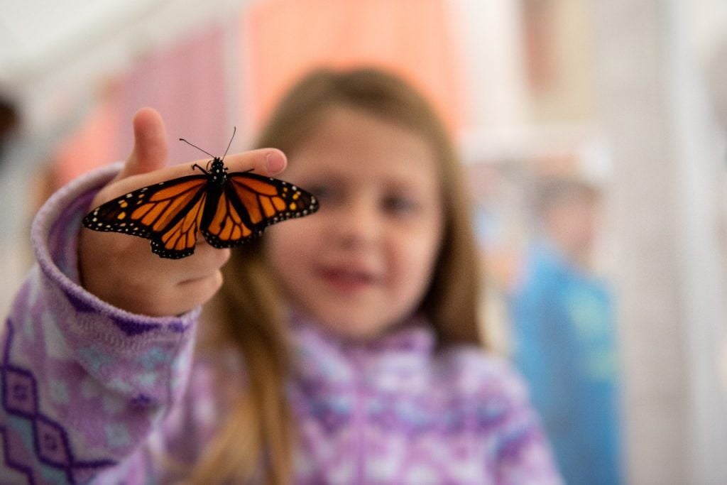 Hokie BugFest just one of Tech's bugcentric events this fall