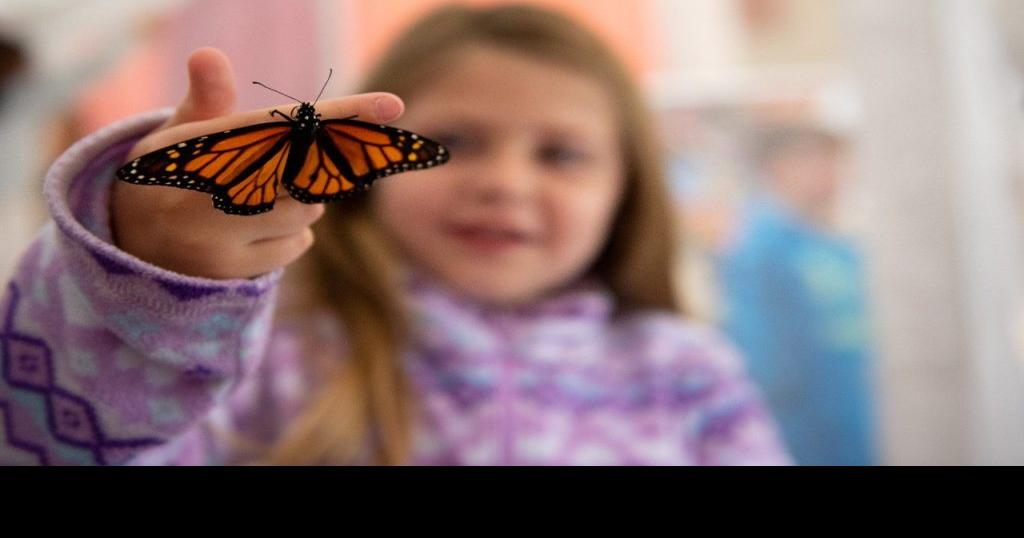 Hokie BugFest just one of Tech's bugcentric events this fall