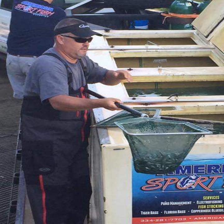 Bill Cochran Field Reports Stockings Of Tiger Bass Look Promising At Smith Mountain Lake Sports Roanoke Com