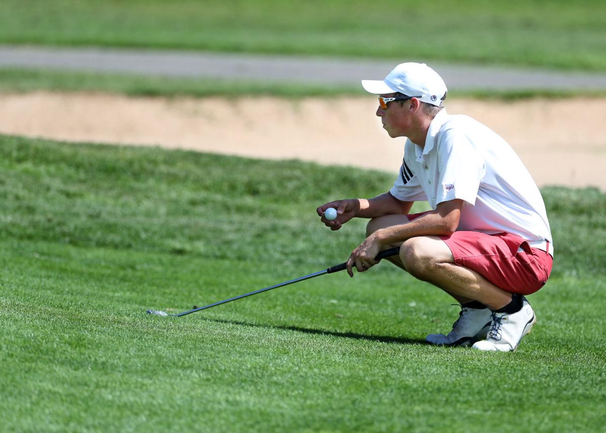 Bob McLelland Metro Invitational golf tournament Gallery