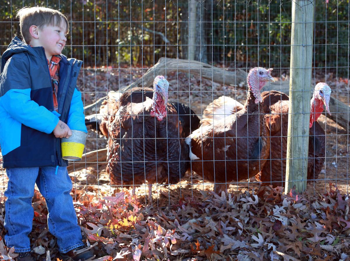 Farm Therapy Floyd couple’s petting zoo is mission of love Local