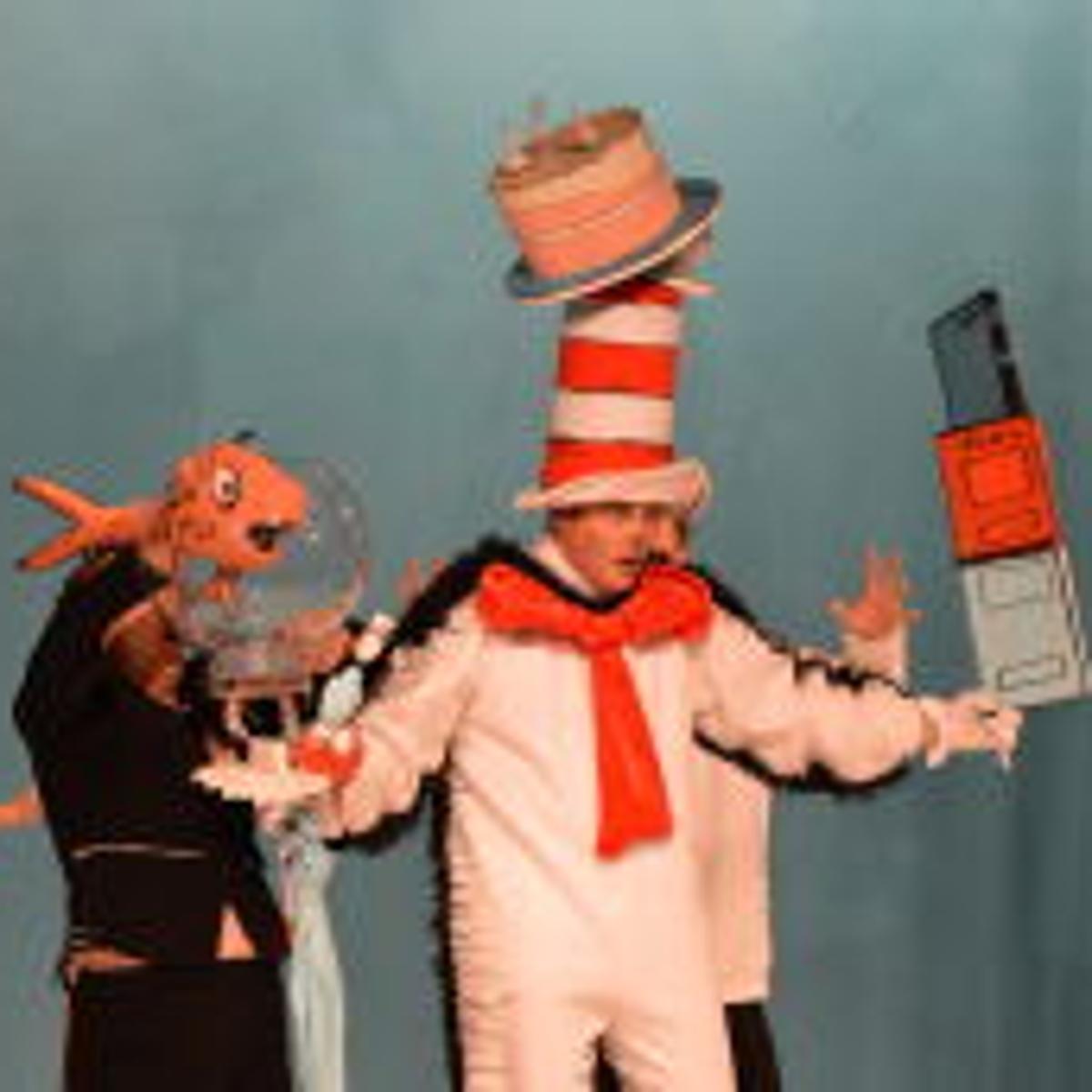 Roanoke Children S Cat In The Hat A Fun Work Of Art Show Roanoke Com