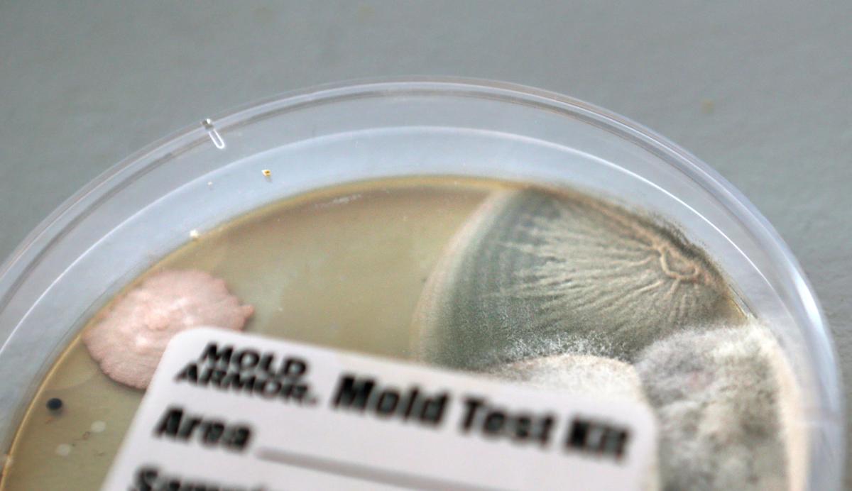 hr dssbuildings 092917 p04