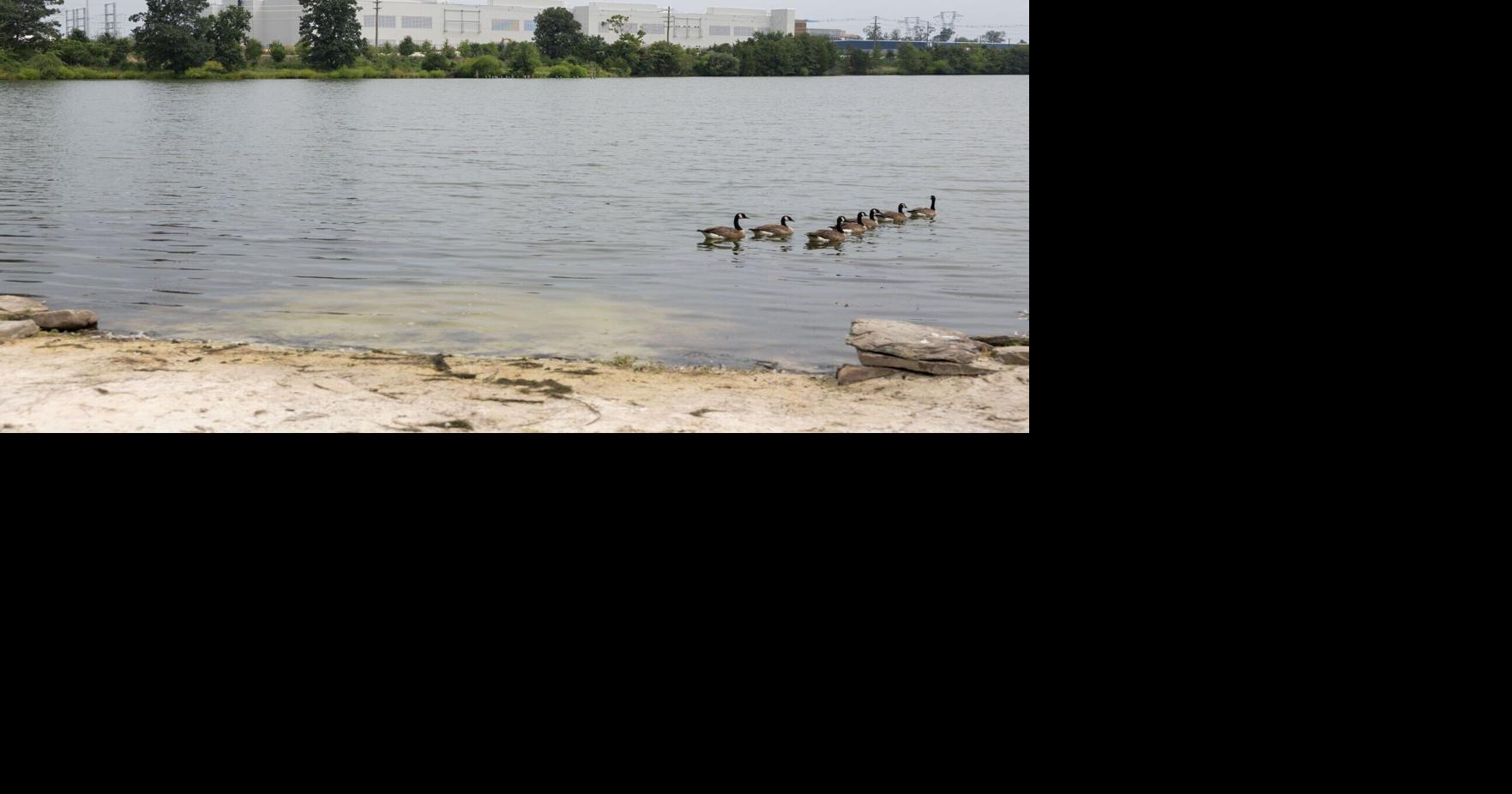 Data center requests for power soar, reports