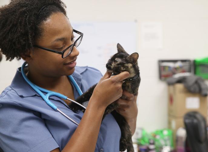 Roanoke Valley's animal shelter, overstuffed with pets, seeks community