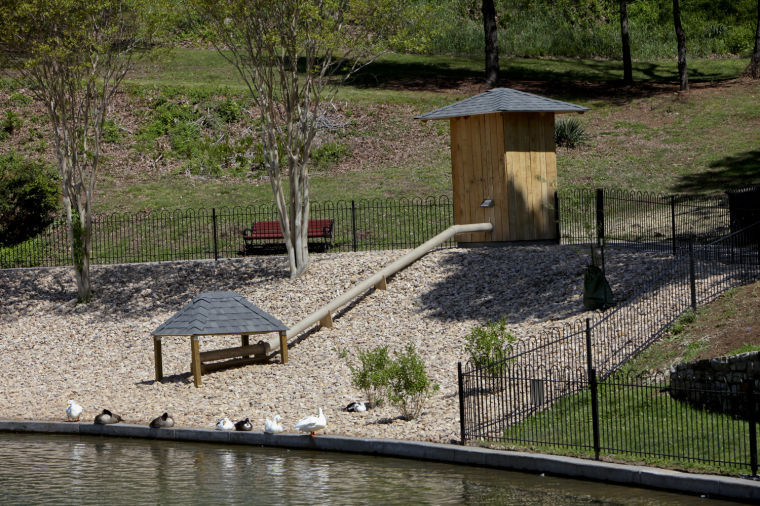 Salem's Lake Spring Park reopens Salem VA News