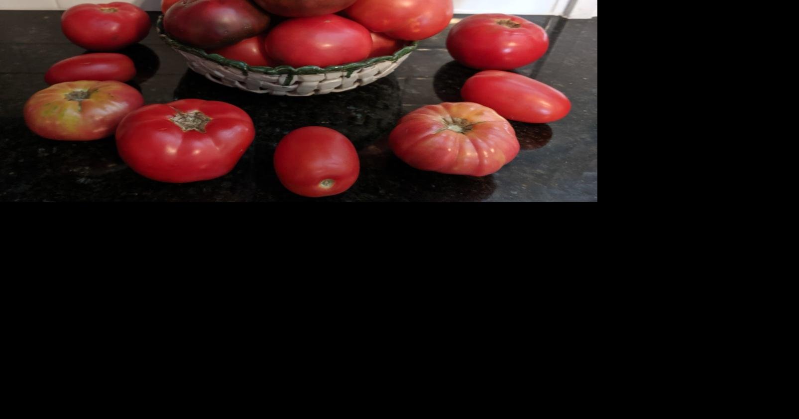 Buy 100 pcs Rare Blue Tomato Multi-color Tomato Cherry Tomatoes