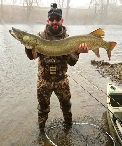 Cochran: “Muskie madness” describes the fish and fisherman
