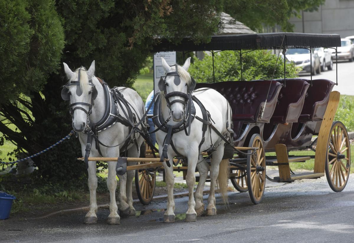 Lexington Carriage Company charters horsedrawn rides through historic