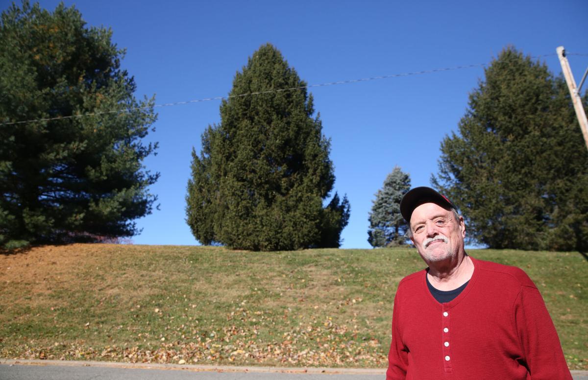 Casey They Fought City Hall And A Tree In Highland Park Won Govt And Politics Roanoke Com