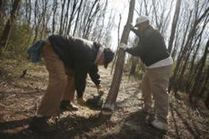 grave duty at springwood cemetery webmin