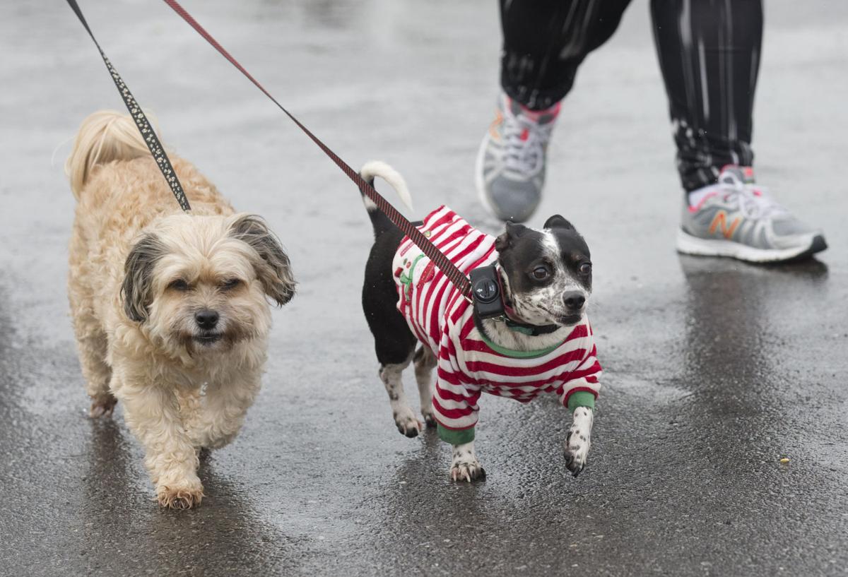 Christmas Eve Fun Run/Walk (copy)
