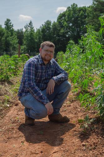 CASEY: With legal pot sales now unclear, area farmer plans to give ...
