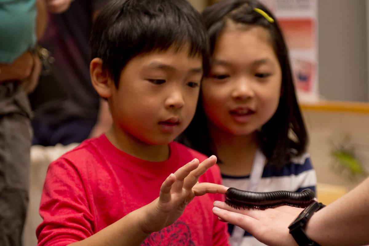 Eighth annual Hokie BugFest spreads its wings on Oct. 20 New River