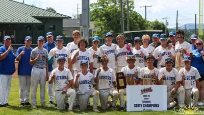 Auburn baseball poses