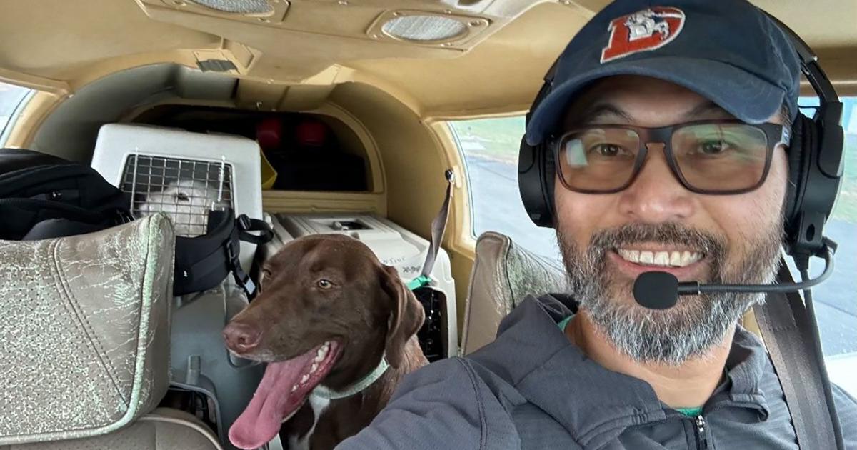 An animal-rescue pilot died in a crash. 2 dogs aboard are recovering