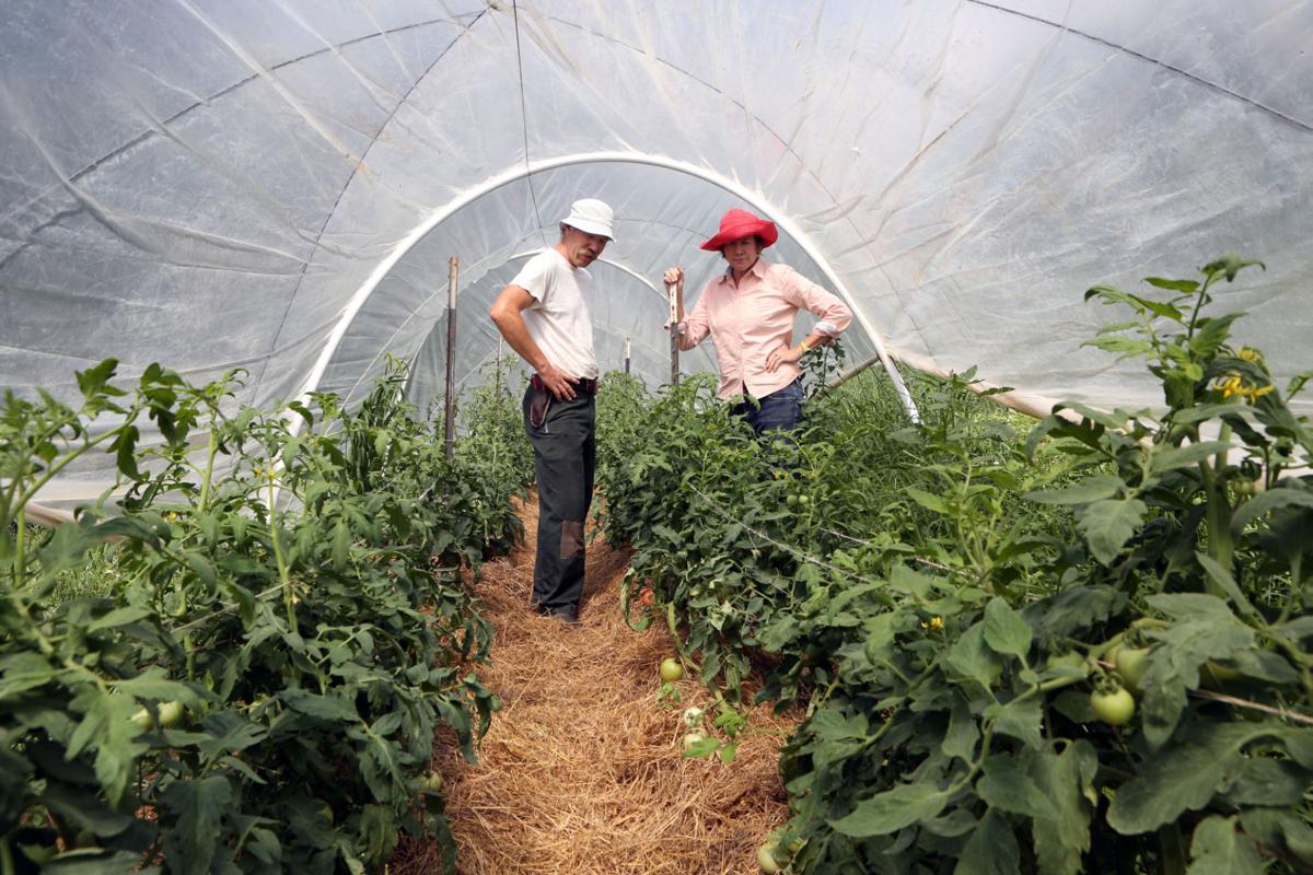 Southwest Virginia Craigslist Farm And Garden