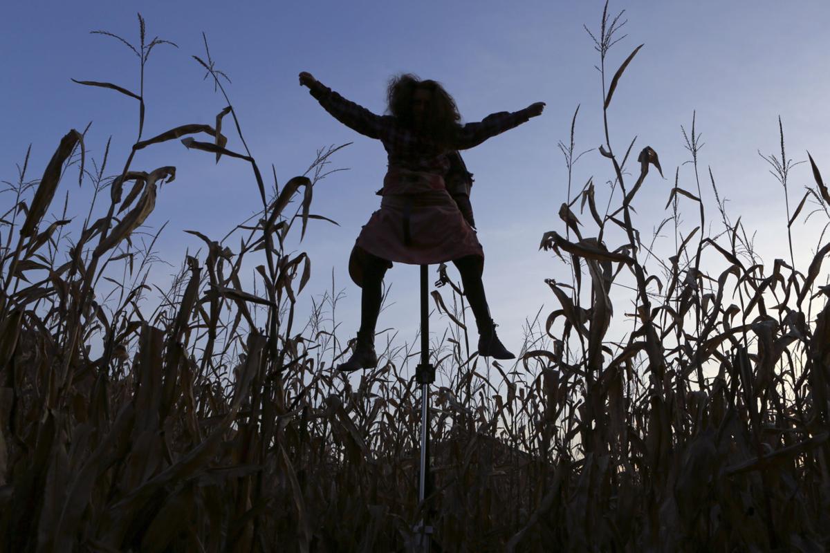 Montgomery County Haunted Farm Owner Spirited About Future Local News Roanoke Com