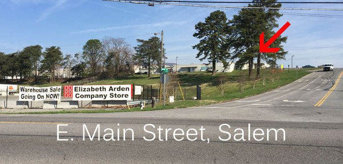 My Elizabeth Arden Warehouse Sale Must List Archive Roanoke Com