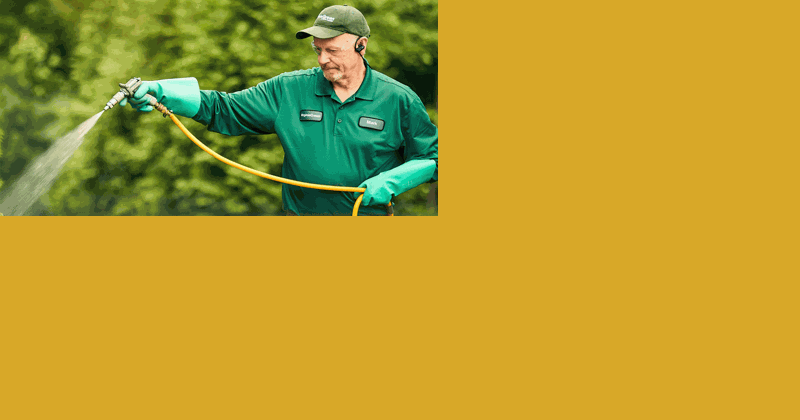 Keep your lawn healthy this summer - Vimarsana News