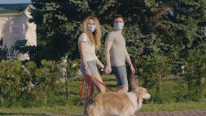 How Coronavirus Is Affecting Your Pet S Behavior Pets Roanoke Com