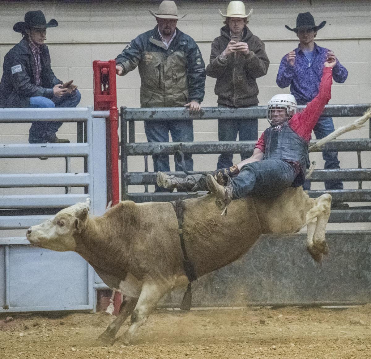 Stampede Championship Rodeo rides into Salem Gallery