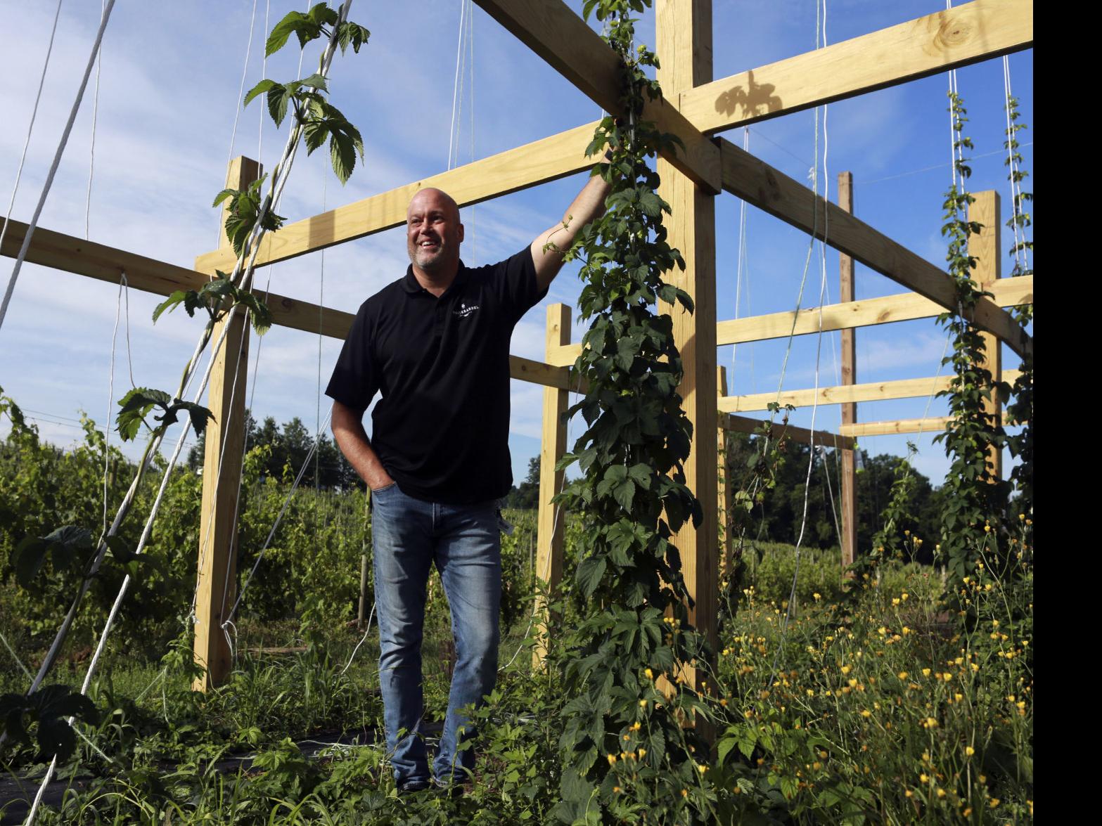 Riner Winery Planning To Launch New Brewery And Distillery Create Full Service Libation Operation Business Roanoke Com