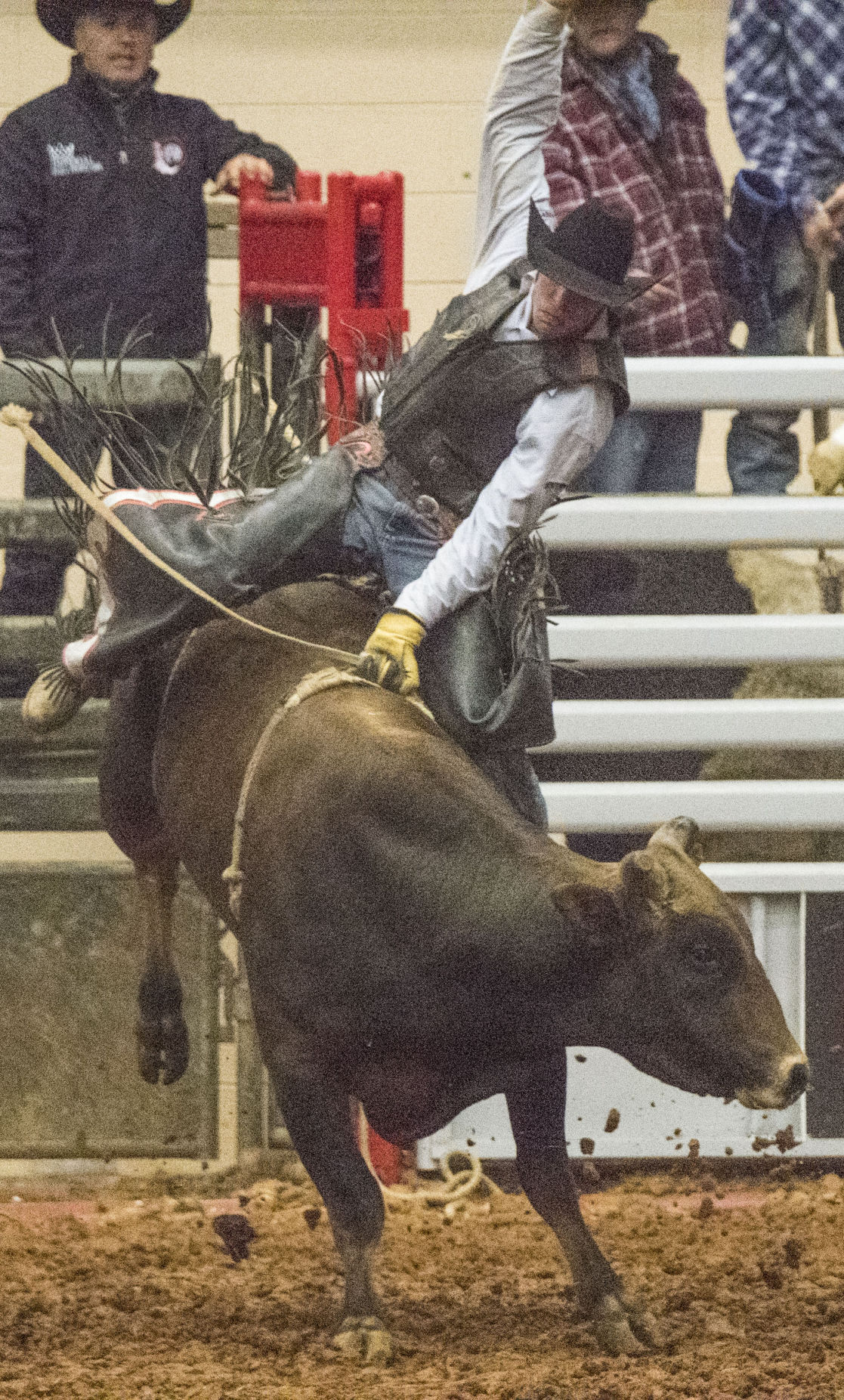 Rodeo stampede at Civic Center Photo