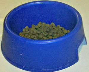 bulking food for dogs