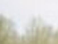 Vt Bass Fishing Team S Hokie Hookup Archive Roanoke Com