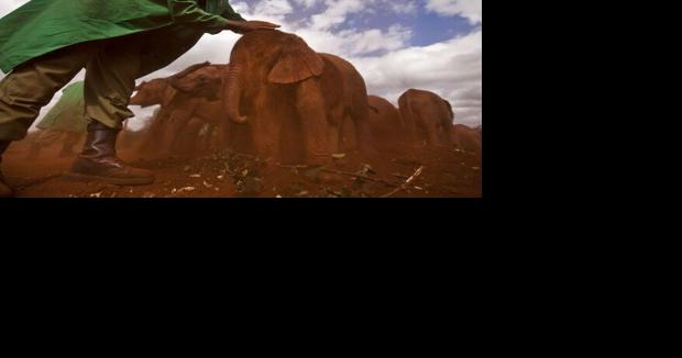 Ask the Weather Guys: Can dust from Africa reach the United States? - Vimarsana News