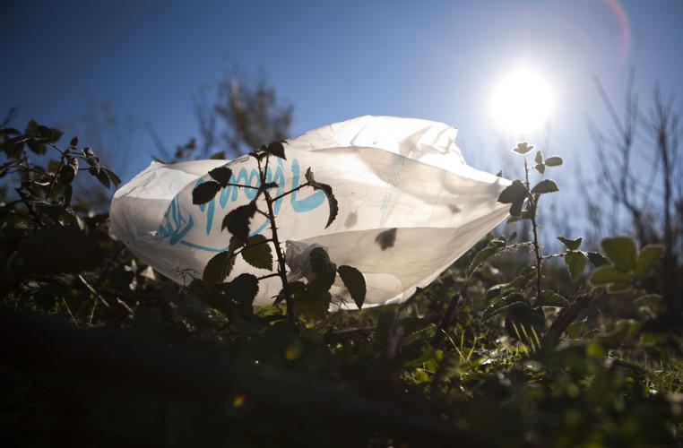 Plastic bag on ground
